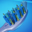 OralB