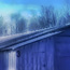 Farm Raised ~ Photo to Illustration